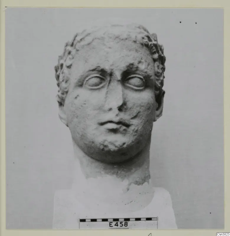 Stone head with curled hair and a scale bar, shown against a plain grey backdrop.