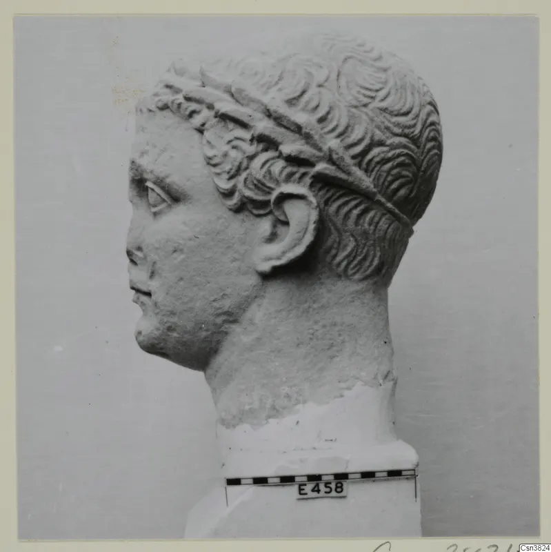 Stone head in profile facing left, with a band of leaves across curled hair, shown beside a scale bar and number label.