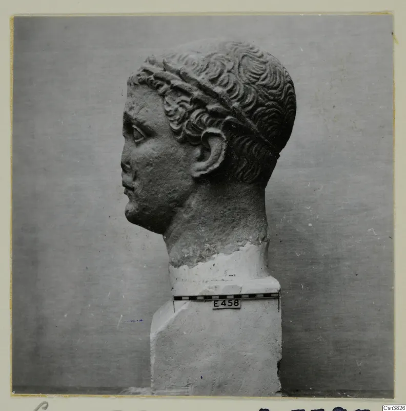 Carved stone head in profile, facing left, with curled hair and a band across the head, set on a plinth.