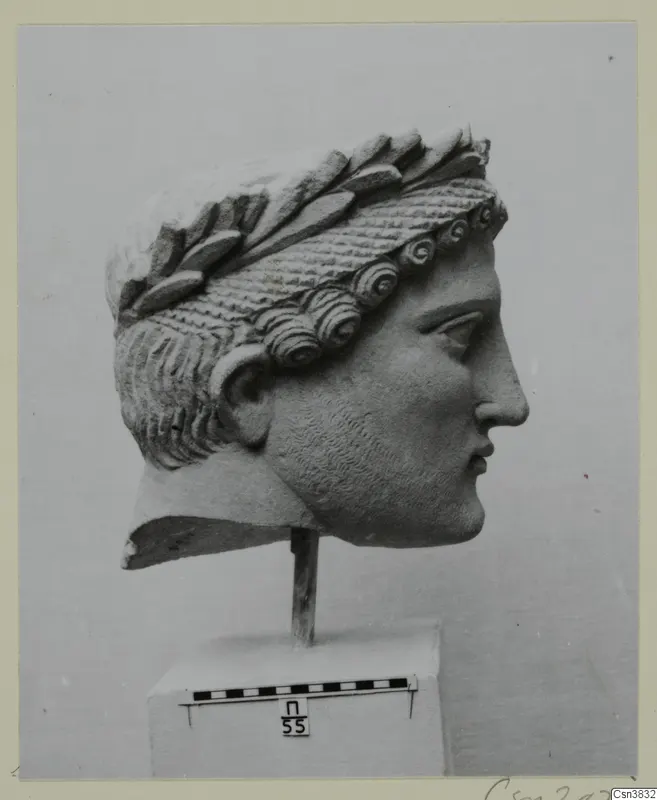 Marble head of a youth wearing a laurel-leaf wreath, shown in profile on a plinth with a scale bar.