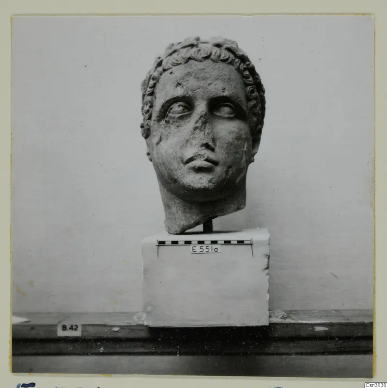 Carved stone head with short curled hair, shown on a white block base with a scale bar