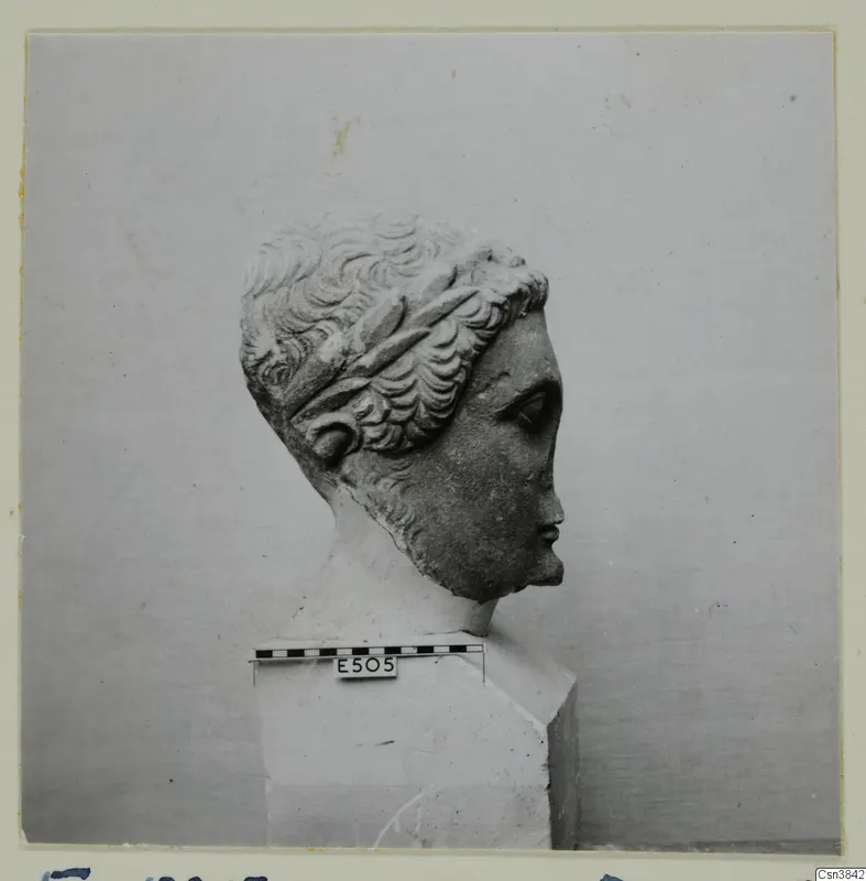 Marble head of a youth with wreathed curly hair, shown in profile on a plinth with a scale bar.