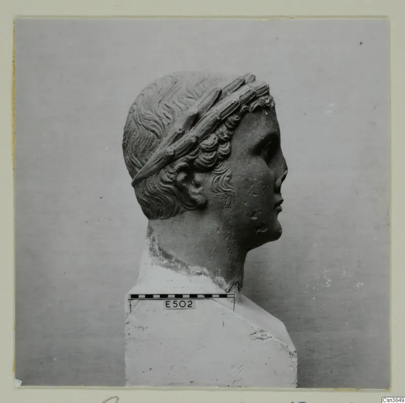 Carved stone head in profile, hair bound by a band of long leaves, set on a white block.