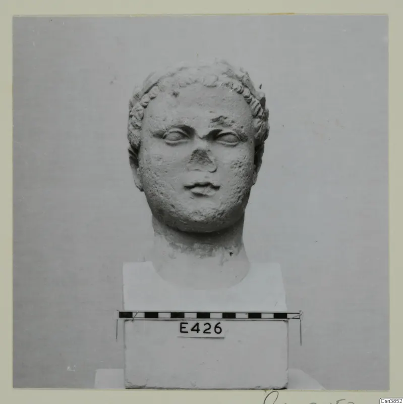 Carved stone head of a statue with short curled hair, on a white block base with a scale bar in front.