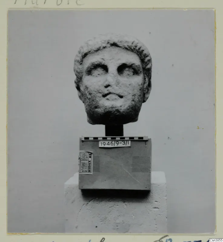 Stone sculpture of a head with short wavy hair, set on a box with a scale bar, photographed against a plain grey backdrop.