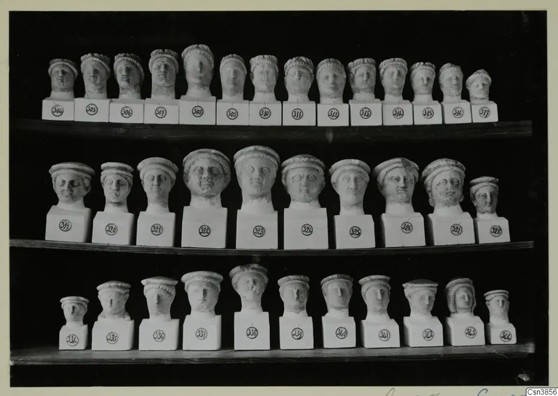 Three shelves of small pale sculpted heads on square white bases, each marked with a round number label.