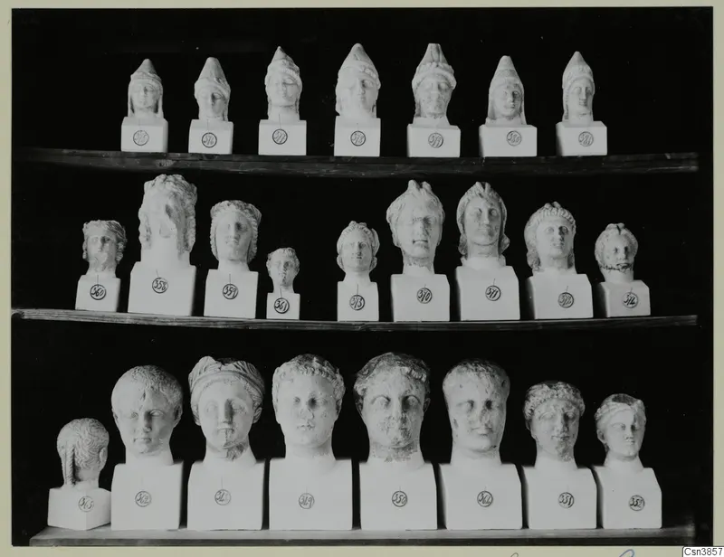 Three shelves of pale sculpted heads on square bases, each base with a round number label, against a black background