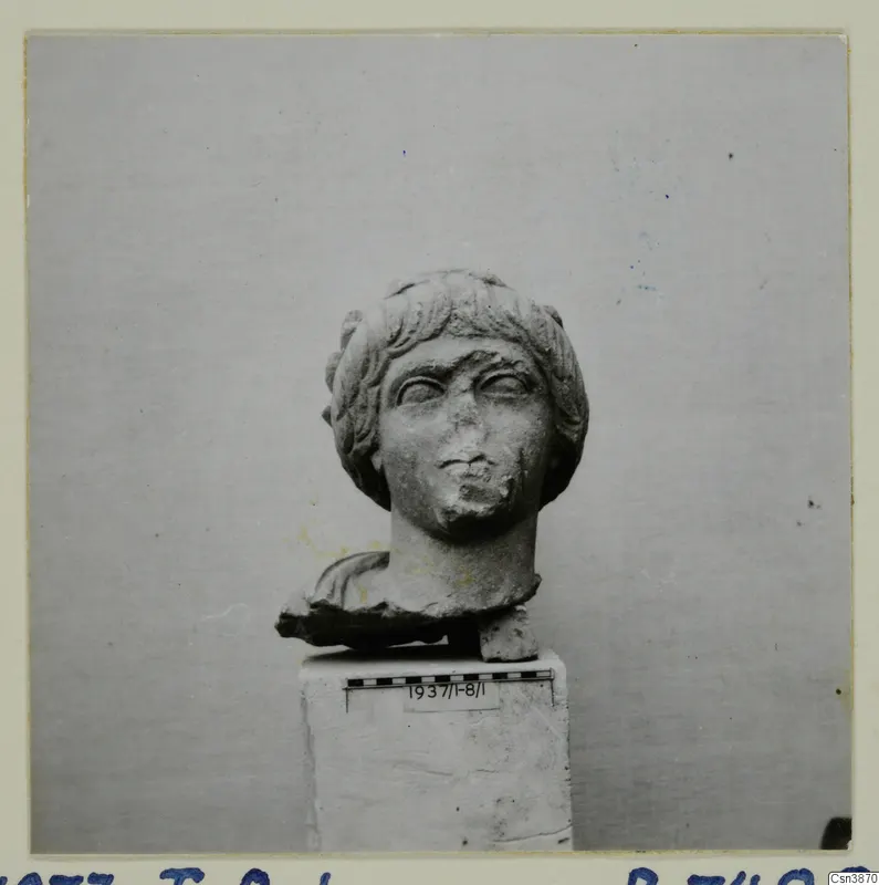 Carved stone head with short curled hair and a fragment of drapery at the shoulder, on a pedestal, against a plain grey backdrop
