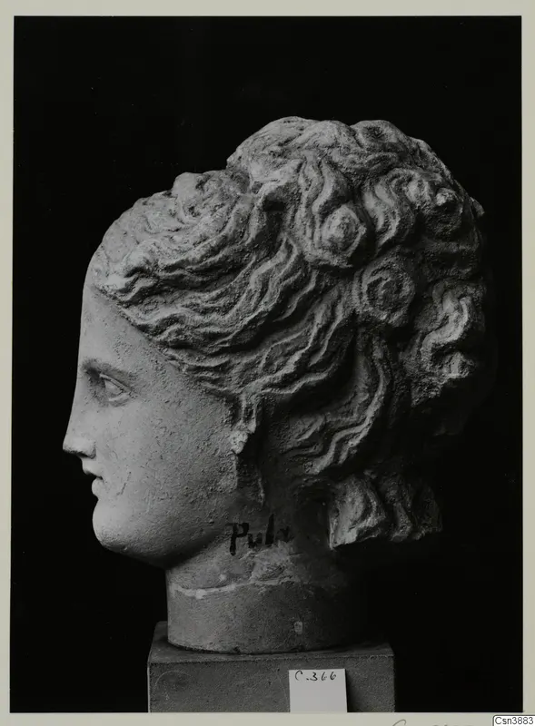Female head sculpture in profile facing left, with wavy hair gathered at the back of the head, on a square stand.