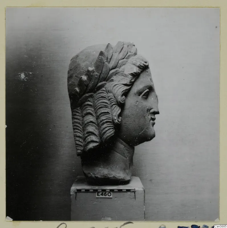 Stone head of a figure in right profile, with rows of deep curls and leaf-like locks over the crown; Hellenistic and Roman sculpture