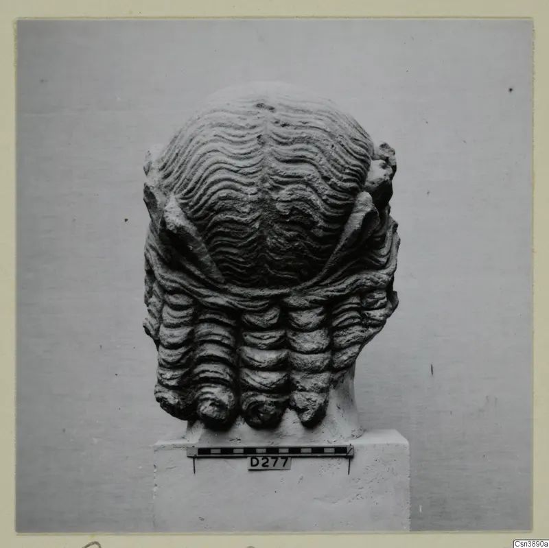 Carved stone head with wavy ridged hair and rows of curled locks, standing on a square plinth beside a scale bar