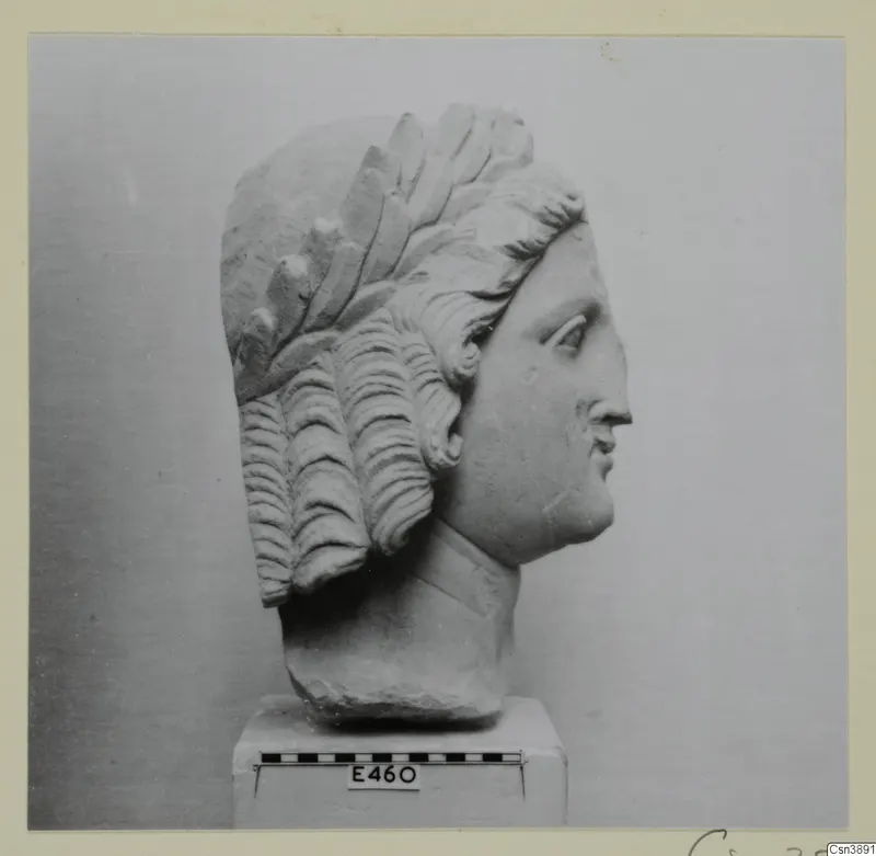 Profile of a stone head with a leaf wreath and curled hair, on a plinth with a scale bar and number label.