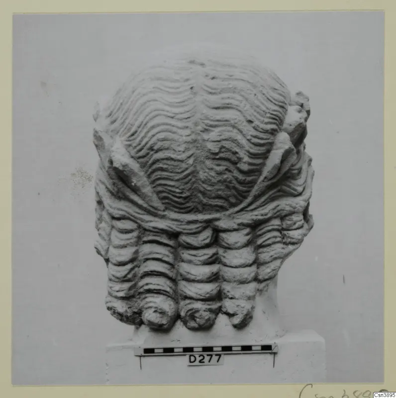 Back of a carved stone head with wavy hair and rows of curled locks at the nape, set on a plinth.