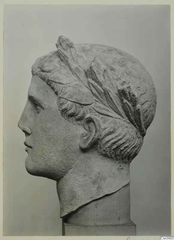 Stone head of a figure in profile facing left, with a band of leaves in the hair, set on a fluted support
