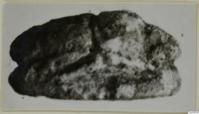 Blurred photograph of a stone scarab on a pale card mount