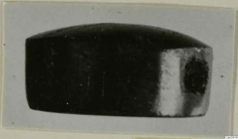 Dark stone object with a domed top and a small round mark on one end, on a grey card mount.