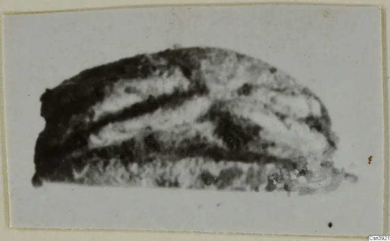 Glyptic from Ayia Irini: a stone object with dark and pale bands, seen from the side