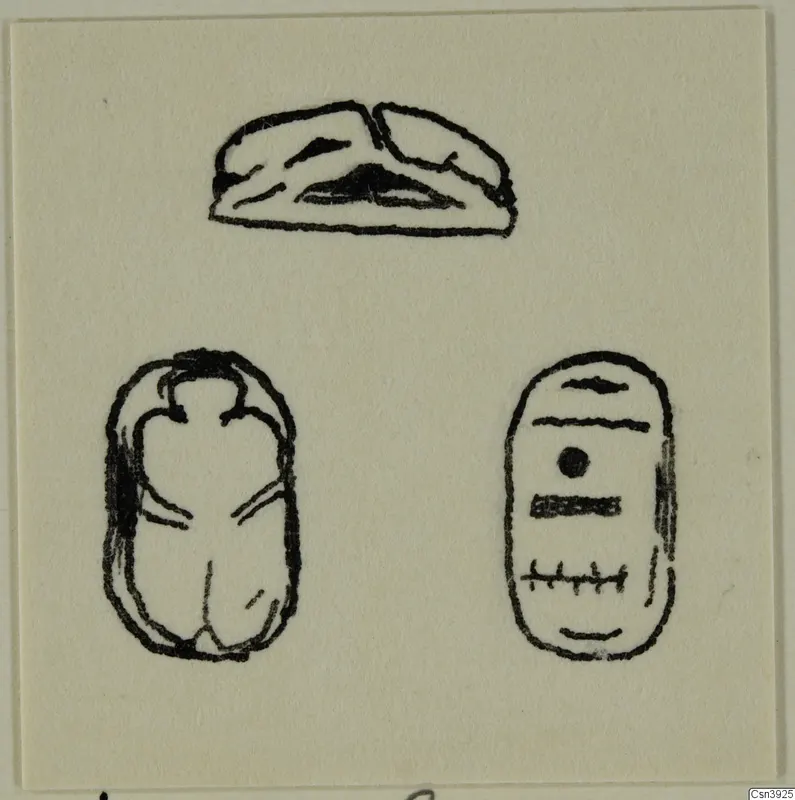 Drawing of three seals and scarabs from Ayia Irini on a cream card, in side, back and base views.
