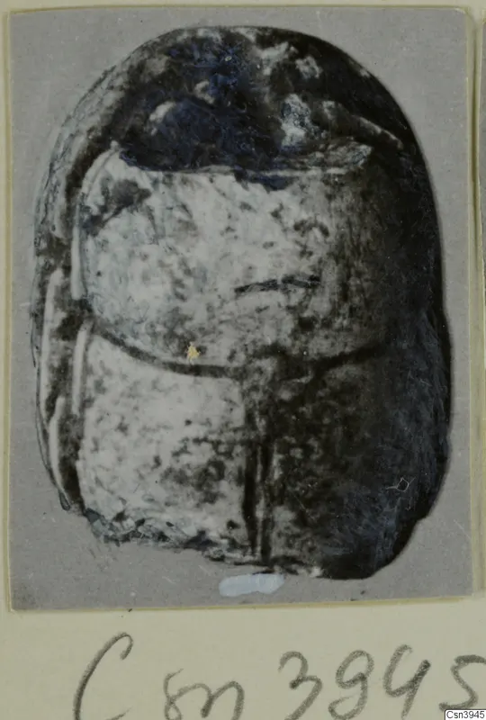 Scarab-shaped seal with a dark domed back and a pale flat base, shown in a photograph mounted on card