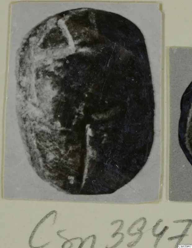 Oval dark seal or scarab with light incised lines, photographed on a grey mount with a handwritten number label