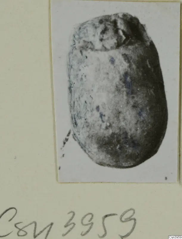 Oval scarab-shaped seal with a segmented head end and faint blue marks, shown in a small print on a card