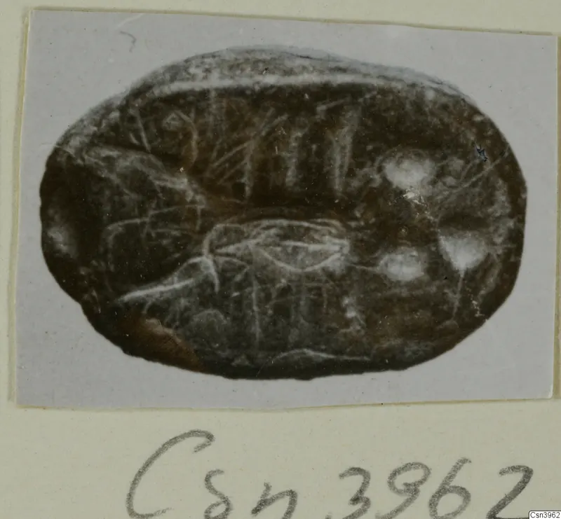Oval engraved seal or gem in dark brown stone, photographed on a grey card