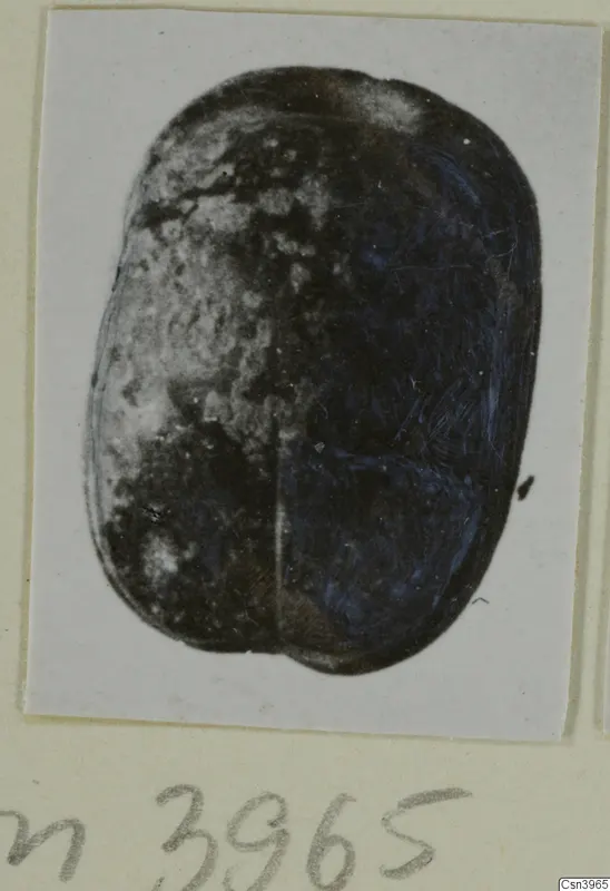 Scarab-shaped seal or gem with a dark, glossy surface, photographed on a white card