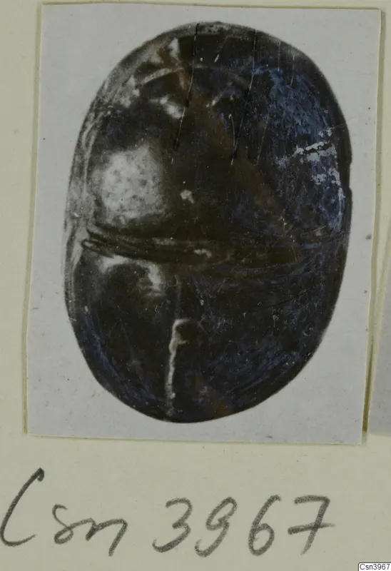 Oval glyptic object, dark and glossy, shown in a photograph mounted on a cream card with a handwritten number label