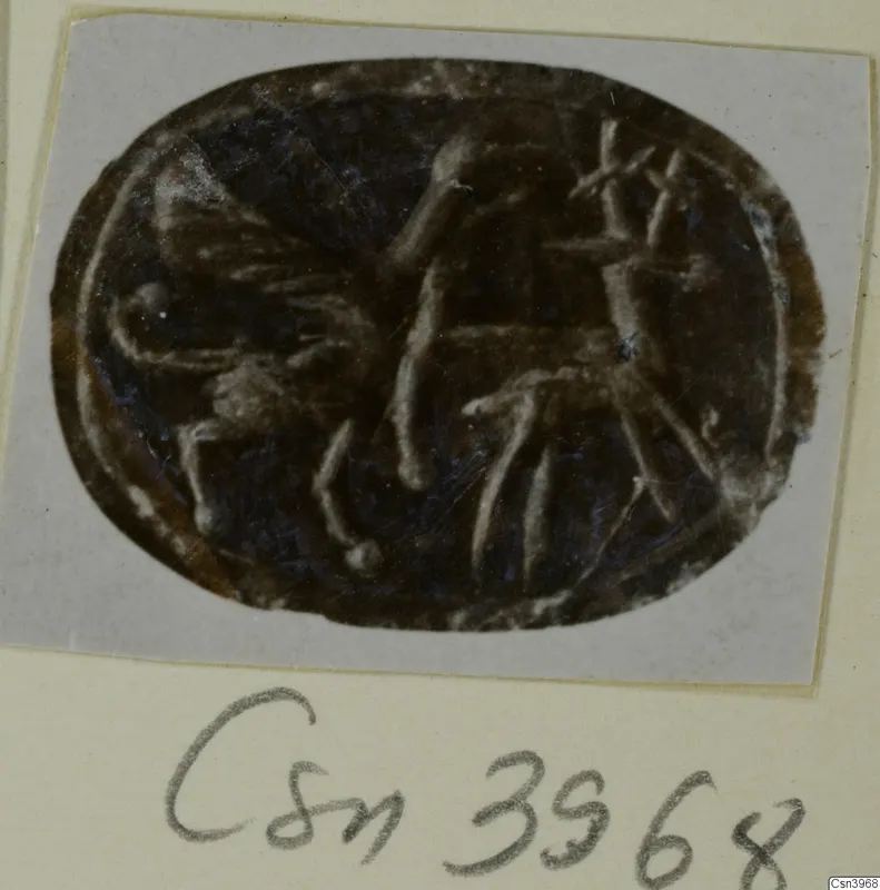 Oval engraved gem with a bird-like figure and a branching motif, photographed on a grey card with a number label