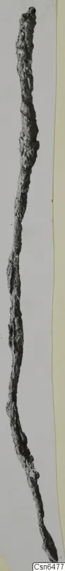Long, thin corroded iron object standing upright against a pale background