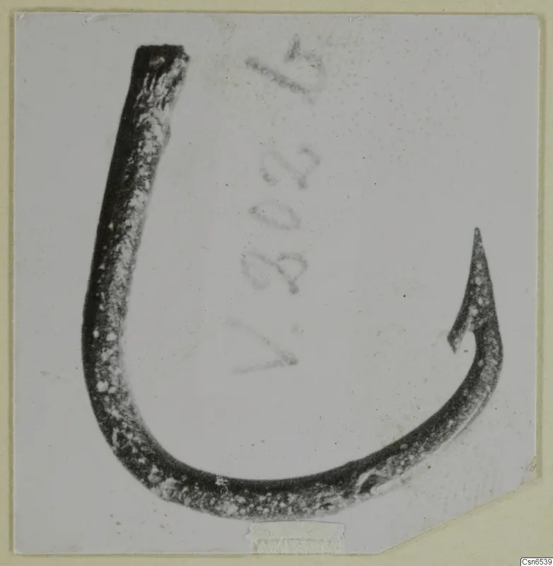 Curved metal tool with a pointed end, photographed on a mounted card; Vouni bronze tools