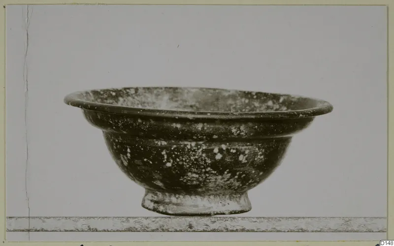 Blown glass bowl with a wide flared rim and short foot, its surface dark and speckled with white weathering.
