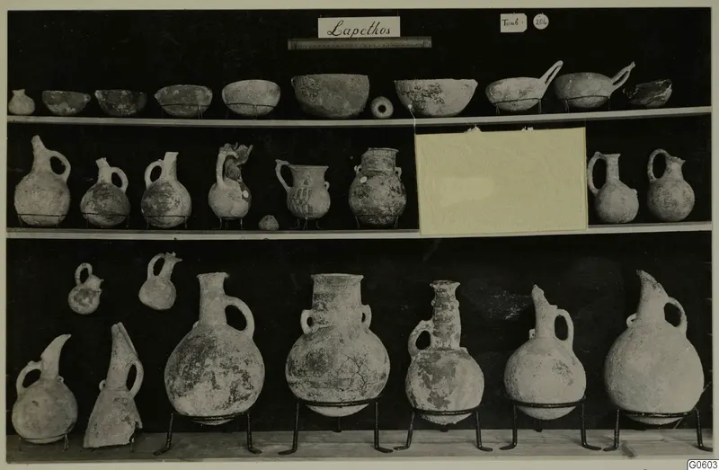 Jugs and bowls from Lapithos Markides, T.204, arranged in rows on three shelves against a dark background