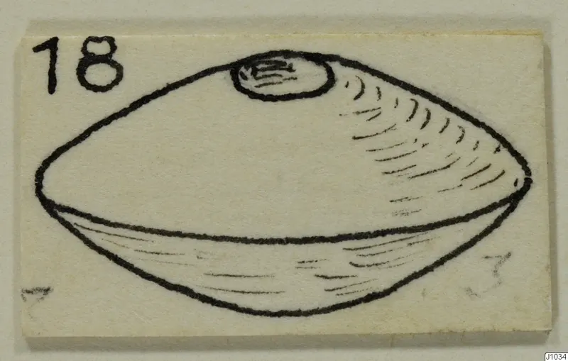 Line drawing of a lens-shaped object with a raised oval boss on top, on a card with a number label