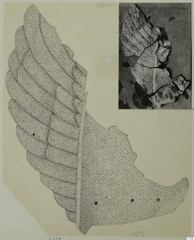 Stippled drawing of a leaf-shaped bronze mounting, with a photograph of its cracked fragments in the upper right corner