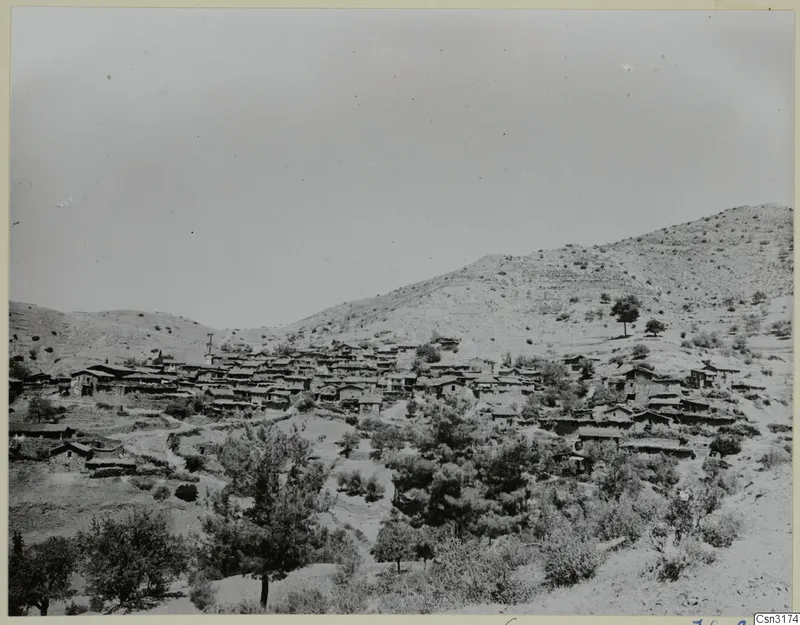 Village of low houses clustered on a dry hillside, with trees in the foreground and a mountain behind.