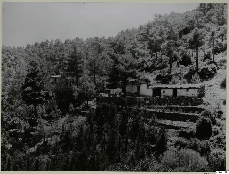 Whitewashed buildings with tiled roofs among pine trees on a wooded mountainside at Machairas, Troodos.