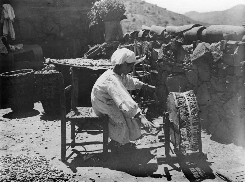 Person seated at a wooden frame with a wicker drum, working in a yard beside a stone wall with baskets and spread seeds nearby.