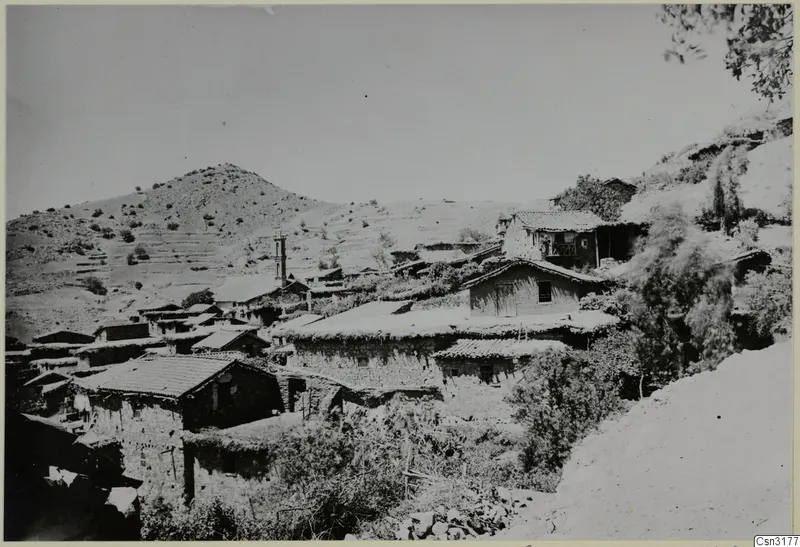 Village of Lazania on a hillside, with stone houses with tiled and flat roofs, a slender tower and trees.