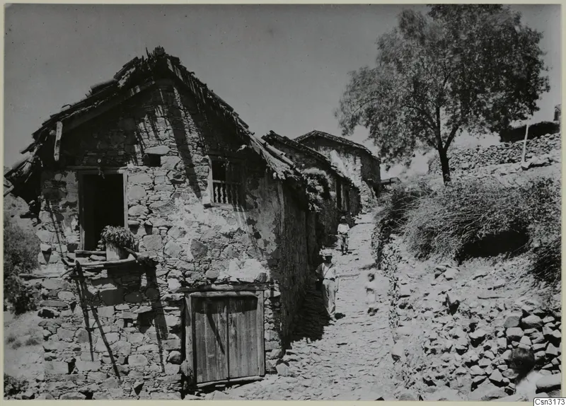 Stone-built houses and a cobbled lane climbing through the village of Lazania