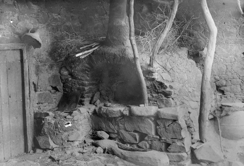 Stone oven set into a wall beside a wooden door, with branches and tree trunks against the wall.