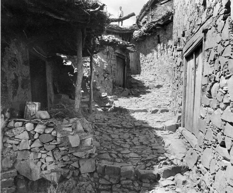 Stone-paved lane between stone houses with wooden doors and a timber-and-brush roof in Lazania