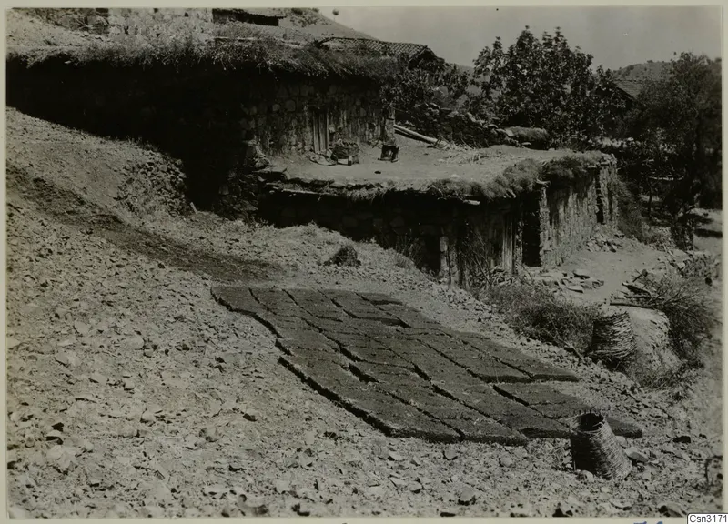 Stone house with a grass-covered roof, rows of drying dark blocks and woven baskets at Lazania