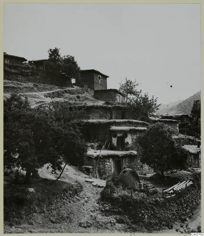 Stone and mud-walled village houses stacked on a hillside among trees, with a dirt path climbing past them.