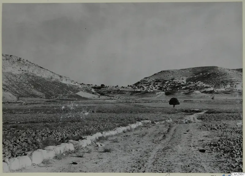 Landscape at Galinoporni on the Karpas peninsula, with a village on a hillside and a lone tree in the fields