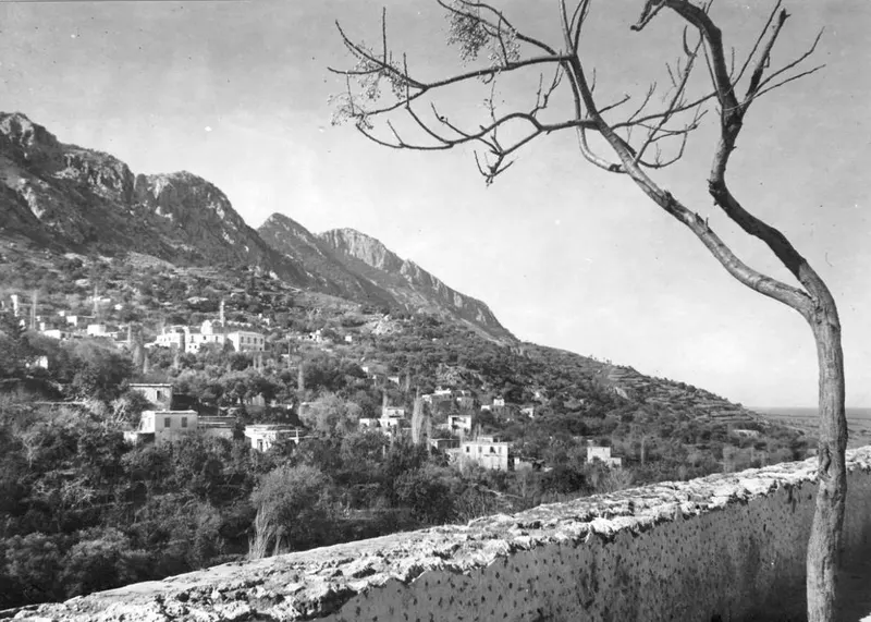 Hillside village of Lapithos with white houses among trees, rising to rocky mountains, seen from a stone wall with a bare tree.