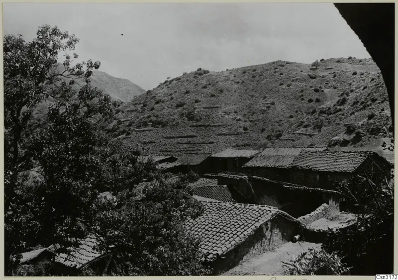 Tiled-roof houses of Lazania on a terraced hillside, with a large tree in the foreground and mountains behind.