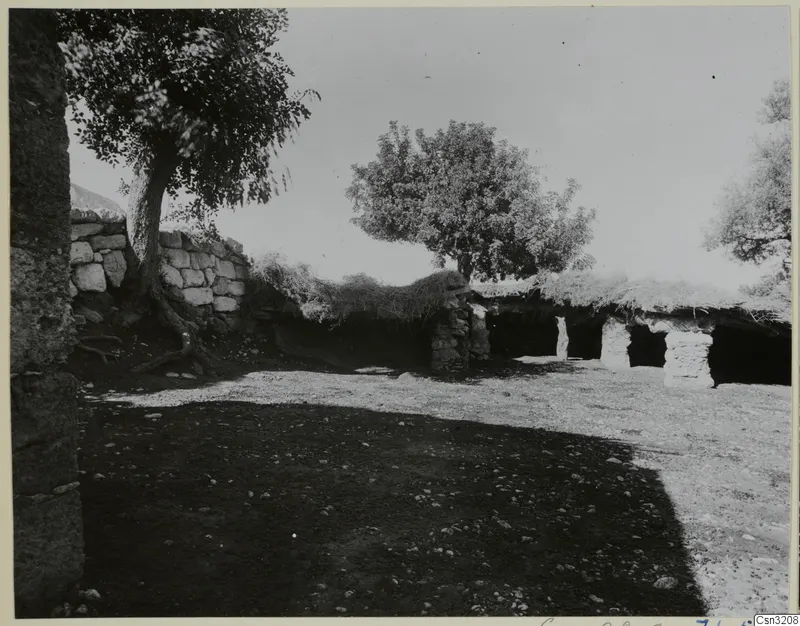 Stone wall, thatched open shelter and trees in a bare stony yard