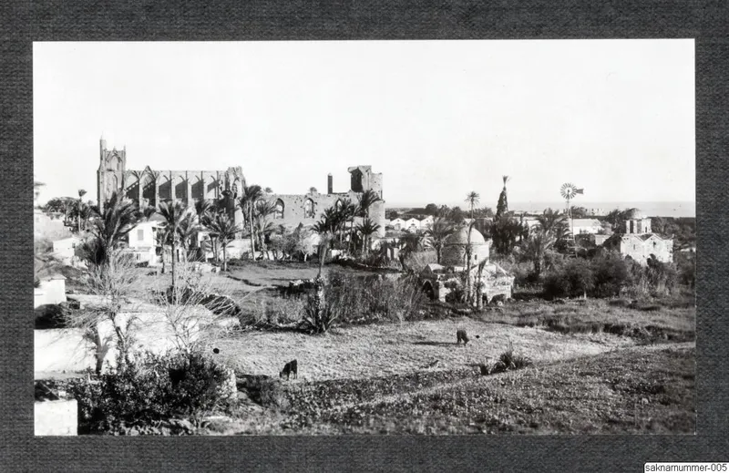 Ruined stone buildings among palm trees, with two grazing goats in the foreground