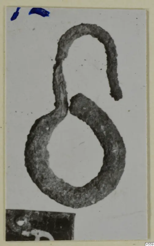 Corroded metal loop with a hooked upper end, photographed on a pale card mount
